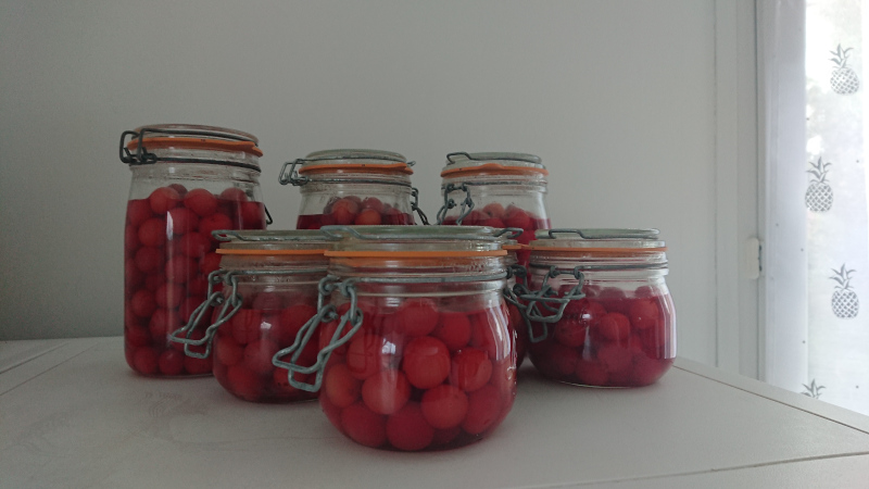 Bocaux de cerises maison