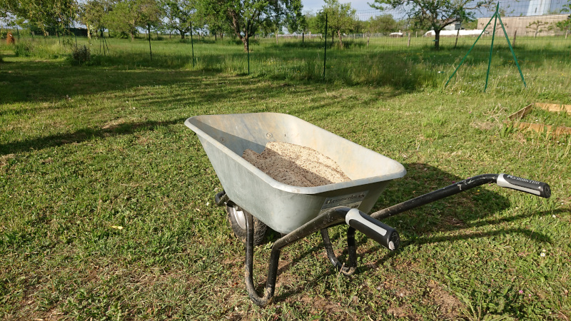 Brouette avec le sable et les graines