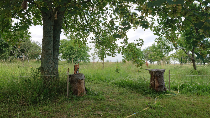 Entrée de la forêt