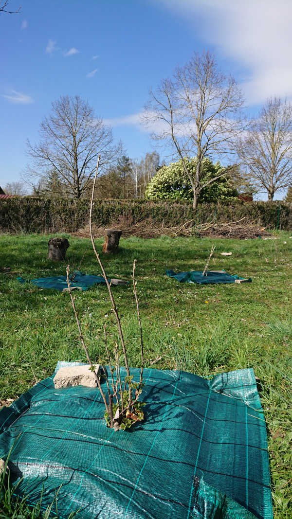 Bâche comme paillis