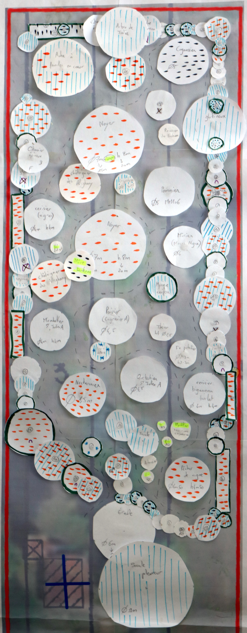 Plan de la forêt suite à revue de novembre