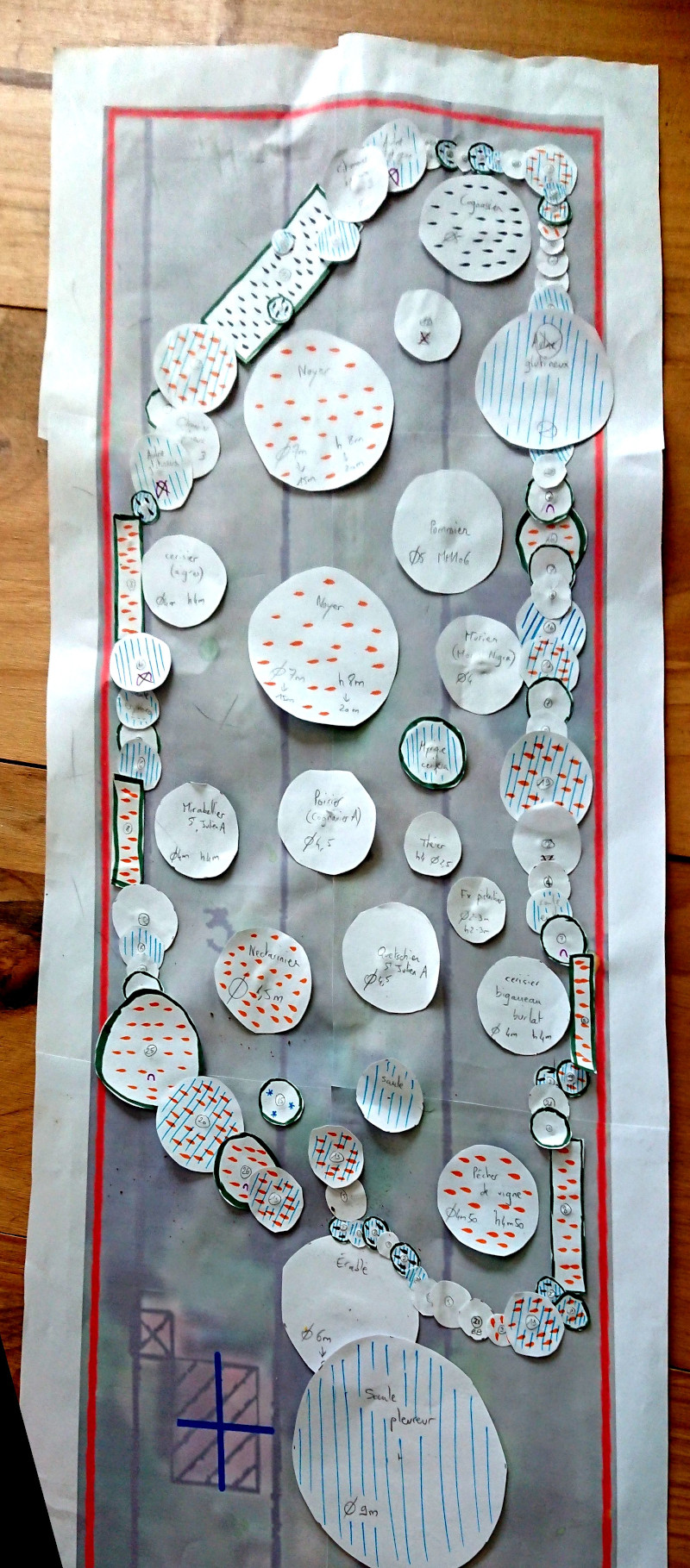 Le plan initial de la forêt