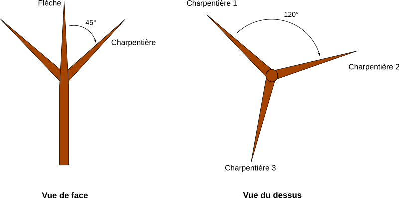 Schéma d’un arbre taillé dans les règles de l’art