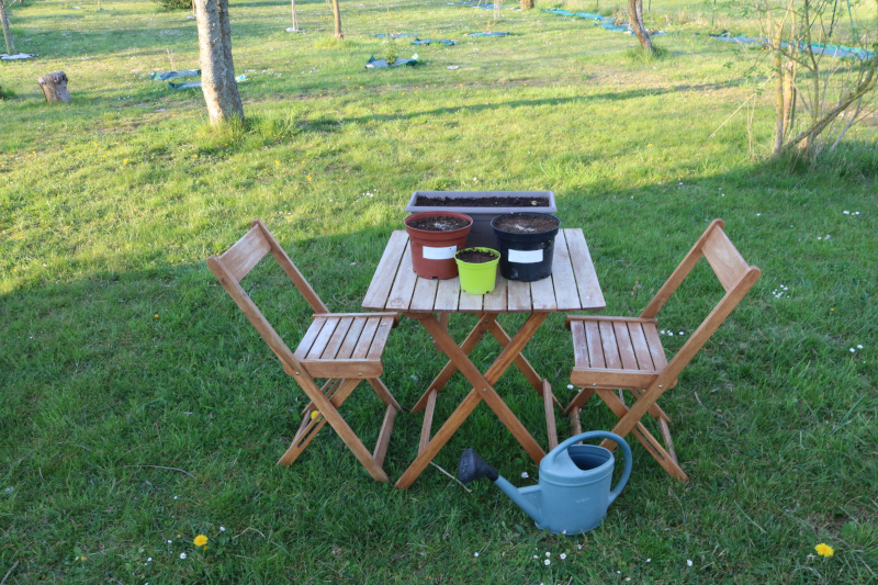 Les balconnières et le pot dans lesquels ont été semés les arbres
