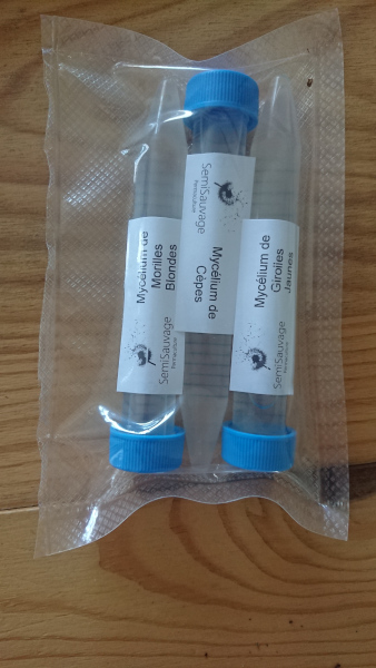 Spores de champignons dans des tubes à essai