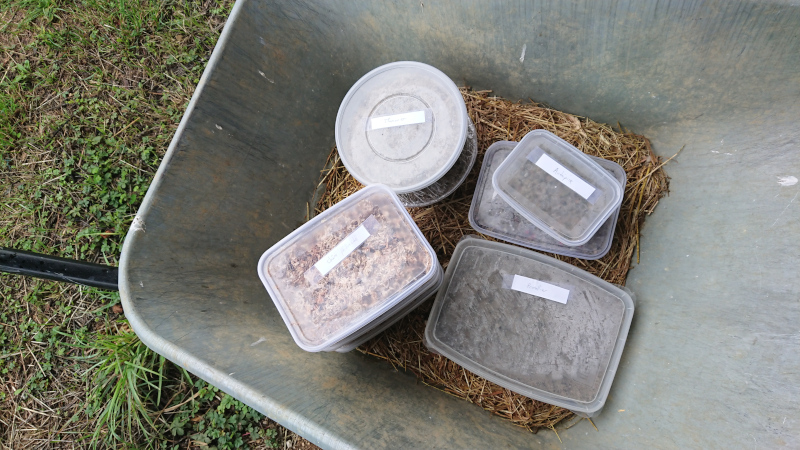 Mises en stratification extérieure