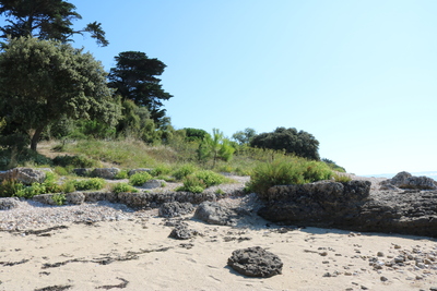 thumbnail Charente-Maritime